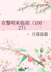 《在黎明来临前(10027)》