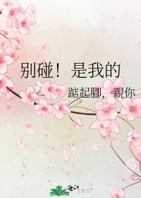 《别碰!是我的》