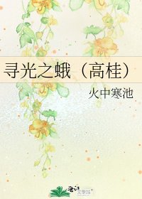 寻光之蛾（高桂）