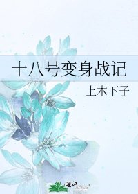《十八号变身战记》