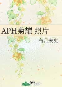 《APH菊耀 照片》