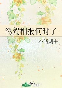 《鸳鸳相报何时了》