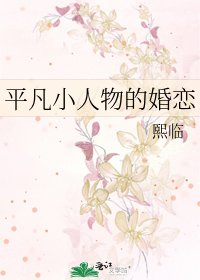 平凡小人物的婚恋