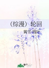 《(综漫)轮回》