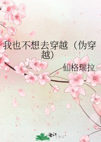 《我也不想去穿越(伪穿越)》