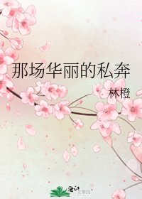 《那场华丽的私奔》