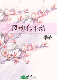 《风动心不动》