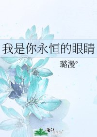 《我是你永恒的眼睛》