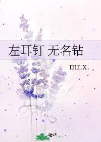 《左耳钉 无名钻》
