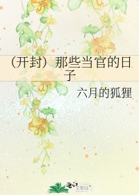 《(开封)那些当官的日子》