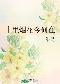 《十里烟花今何在》