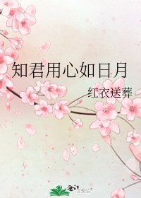 《知君用心如日月》