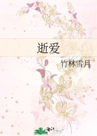 《逝爱》