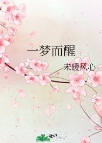 《一梦而醒》