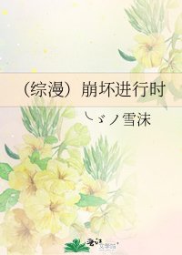 (综漫)崩坏进行时