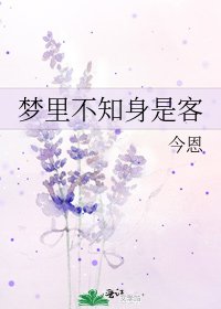 《梦里不知身是客》