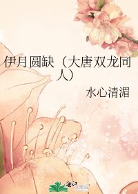 《伊月圆缺(大唐双龙同人)》