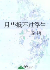 《月华抵不过浮生》