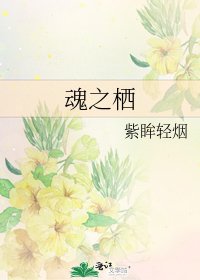 魂之栖