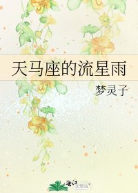 《天马座的流星雨》