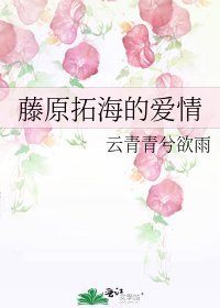 《藤原拓海的爱情》
