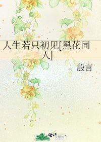 人生若只初见[黑花同人]