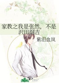 《家教之我是张然,不是沢田纲吉》