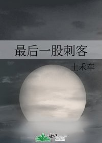 最后一股刺客
