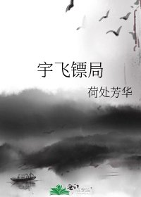 《宇飞镖局》