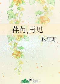 《荏苒,再见》