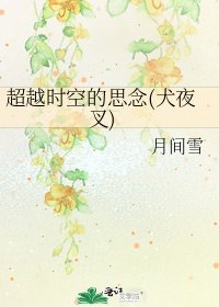 《超越时空的思念(犬夜叉)》