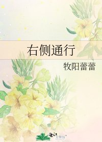 《右侧通行》