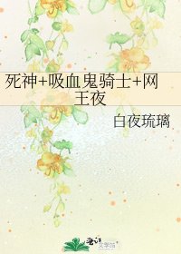 《死神+吸血鬼骑士+网王夜》