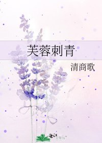 《芙蓉刺青》