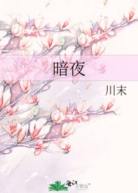 《暗夜》