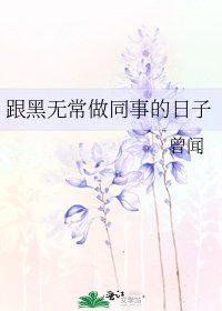 《跟黑无常做同事的日子》