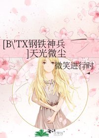 [B\'TX钢铁神兵]天光微尘