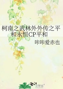 《柯南之武林外外传之平和永恒CP平和》
