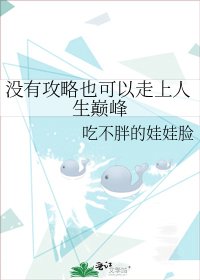 《没有攻略也可以走上人生巅峰》