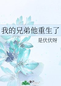 我的兄弟他重生了