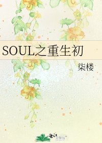 《SOUL之重生初》