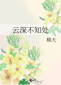 《云深不知处》