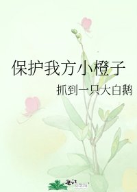 《保护我方小橙子》