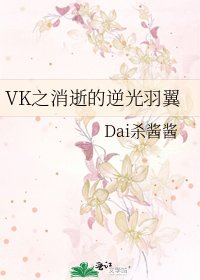 《VK之消逝的逆光羽翼》