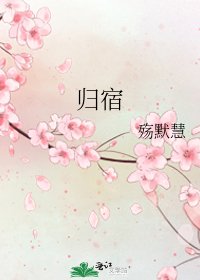 《归宿》