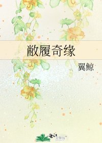 《敝履奇缘》