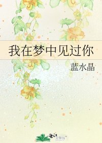 《我在梦中见过你》