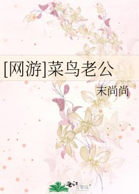 [网游]菜鸟老公