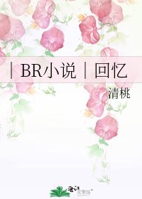 《|BR|回忆》