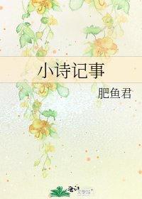 《小诗记事》